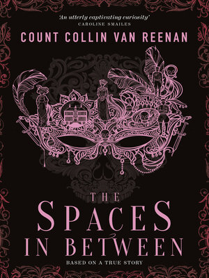 cover image of The Spaces In Between